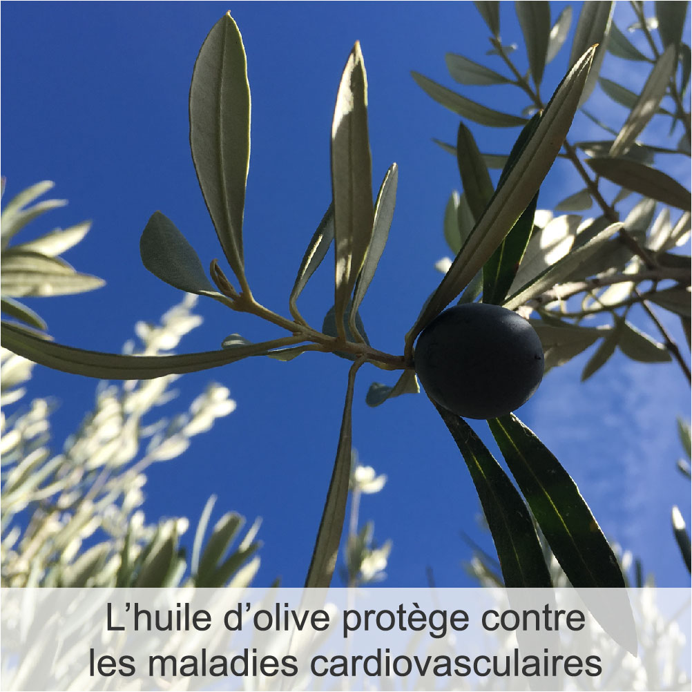 Maladies_Coeur_Bienfaits_Huiles d'Olive Arsélia-carousel